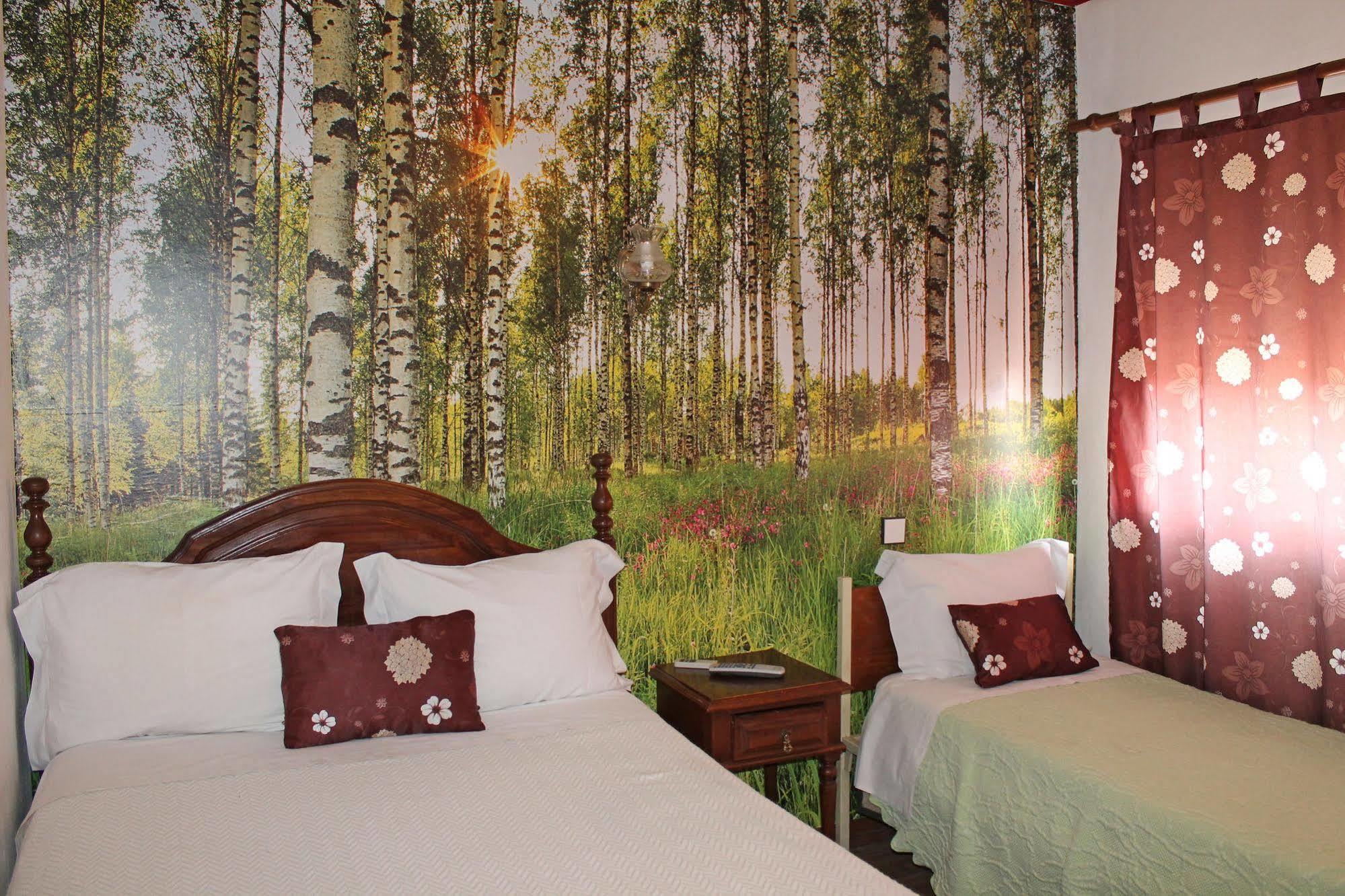 Franca Hotel Porto Ngoại thất bức ảnh
